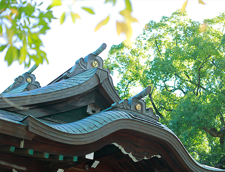 筑前鯛笑の鯛焼き